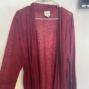 Curvy Lightweight Long Cardigan 3X